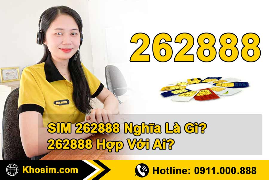 262888 là gì