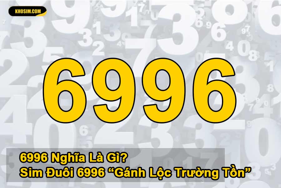 6996 nghĩa là gì