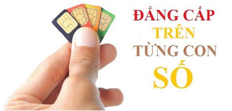 bật mí đầu số 0339, 0349, 0779, 0839 là mạng gì?