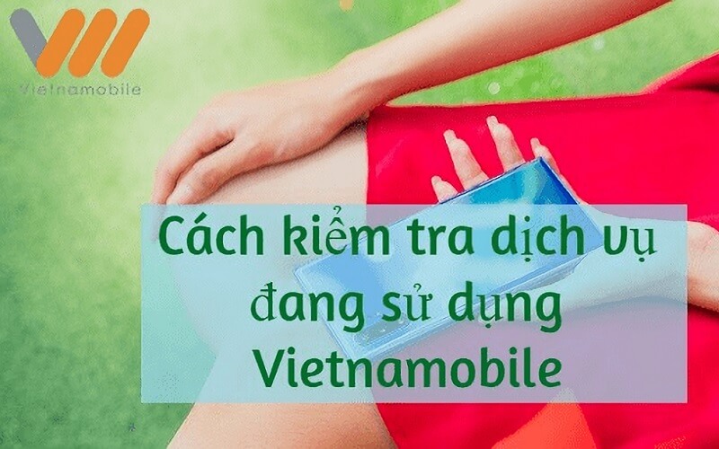 Hướng dẫn kiểm tra các dịch vụ sim điện thoại Vietnamobile đang dùng