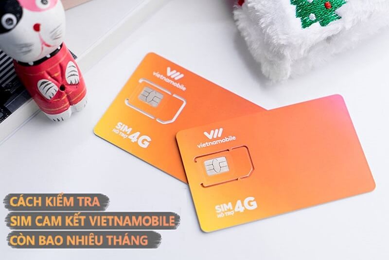Kiểm tra sim cam kết Vietnamobile đơn giản thông qua hợp đồng đăng ký