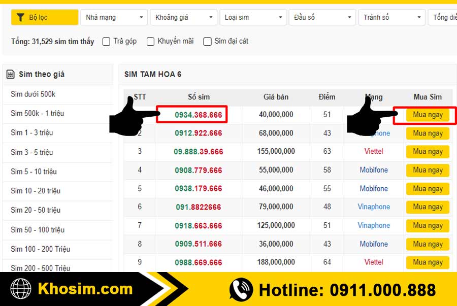 bước 3 chọn 1 sim tam hoa 666 để mua