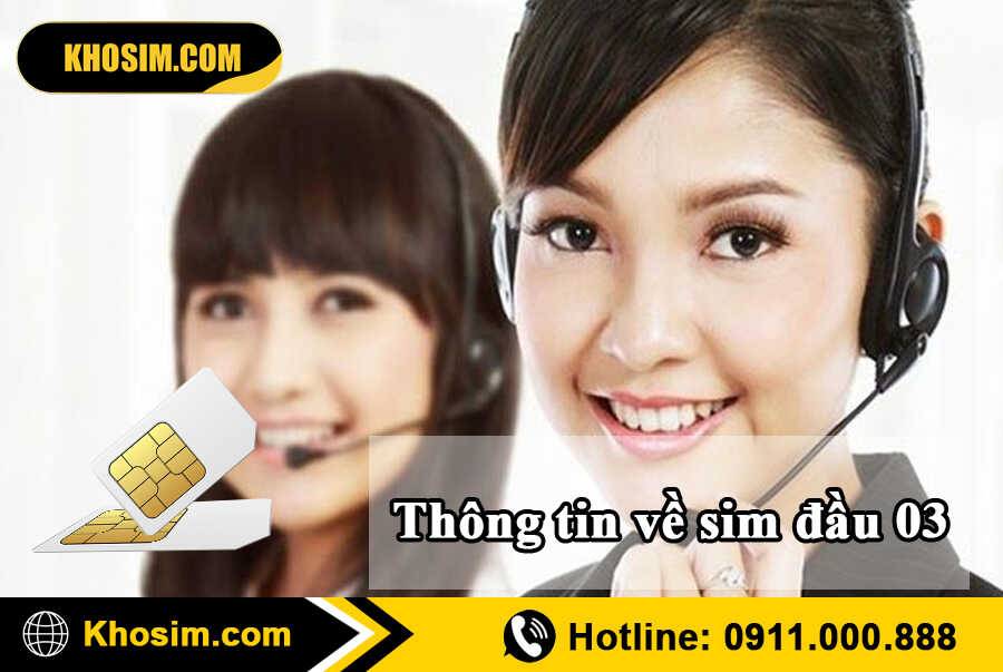 tìm hiểu sim đầu 03