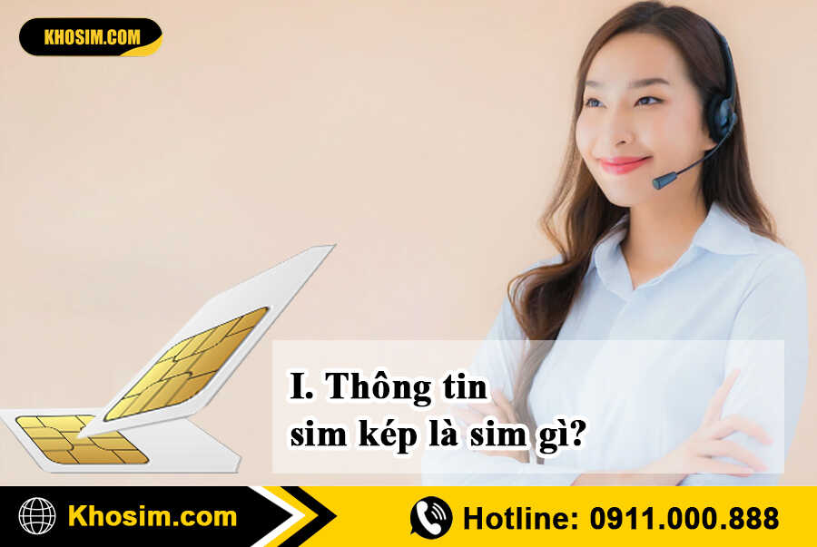 sim số kép