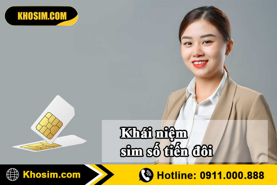 khái niệm sim tiến đôi