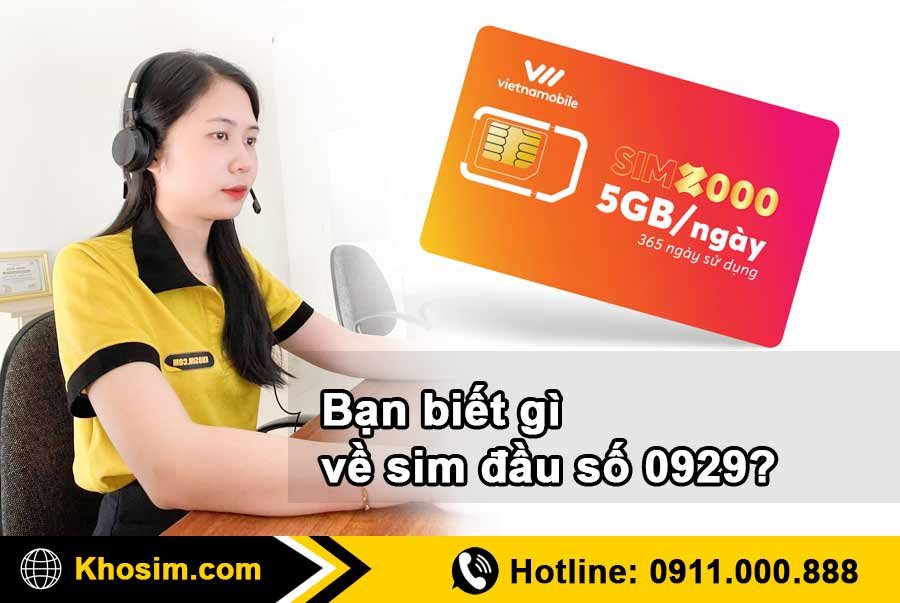 thông tin sim đầu số 0929