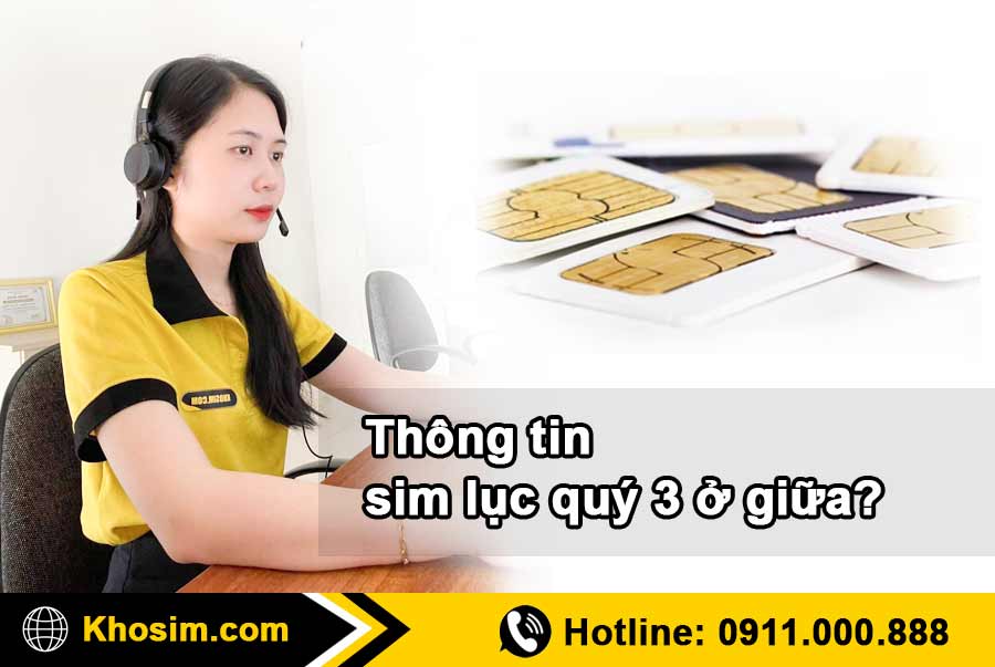 thông tin sim lục quý 3 ở giữa