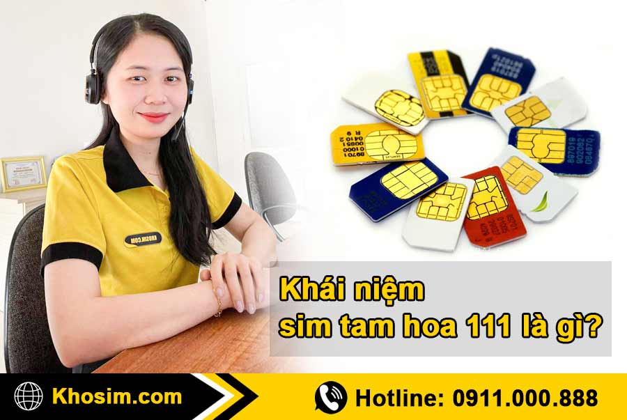 tìm hiểu thông tin sim tam hoa 111