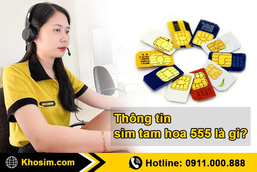 tìm hiểu về sim tam hoa 555