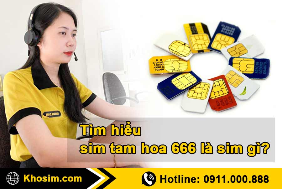 tìm hiểu về sim tam hoa 666