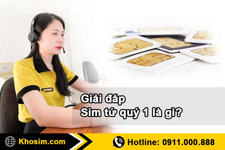 những thông tin hữu ích sim tứ quý 1