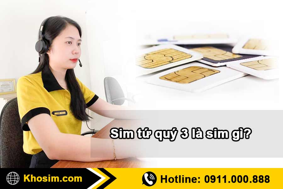 tìm hiểu thông tin sim tứ quý 3 giữa