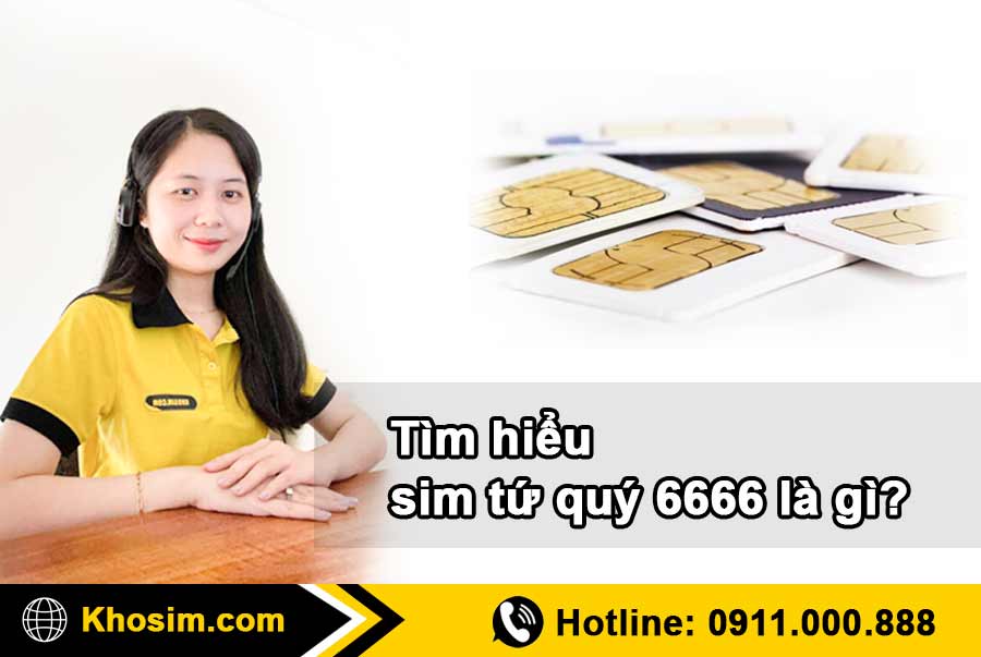 tìm hiểu về sim tứ quý 6