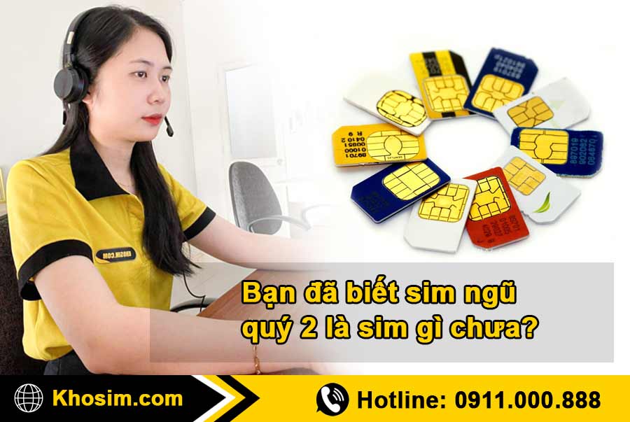 tìm hiểu thông tin sim ngũ quý 2