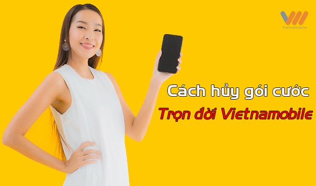 Hướng dẫn bạn cách hủy dịch vụ Vietnamobile nhanh chóng và đơn giản - KhoSim